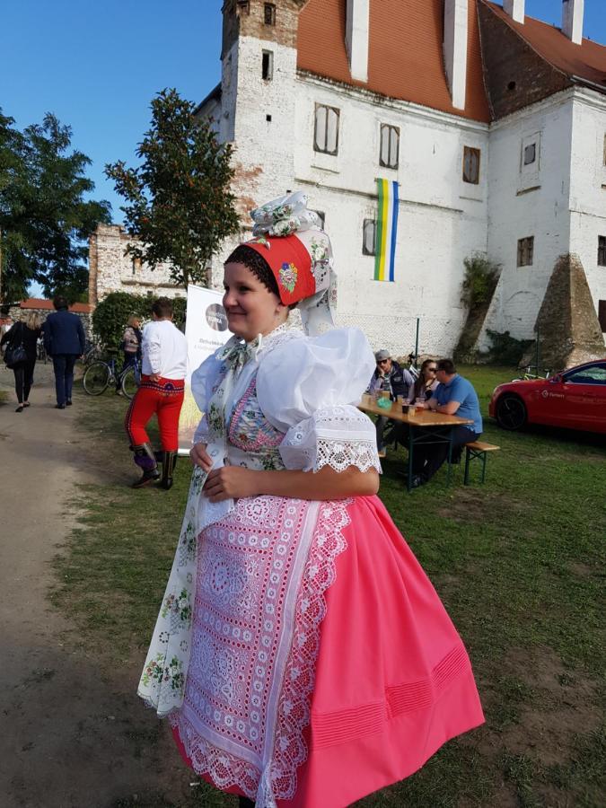 Ubytovani Nad Sklipkem Valtice Εξωτερικό φωτογραφία